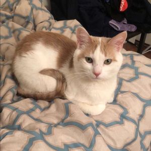 Meet your Posher, Julianna